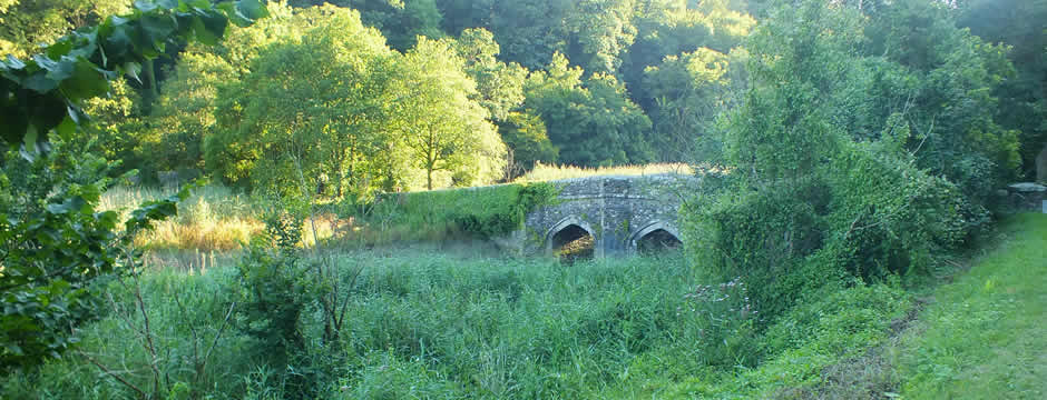 Views of Cotehele Bridge